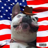Lil Sac - Am I The Only One?