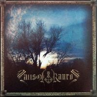 Falls of Rauros - Hail Wind and Hewn Oak