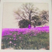 The 2sdays - polaroid boy