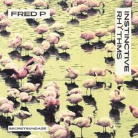 Fred P - Instinctive Rhythms