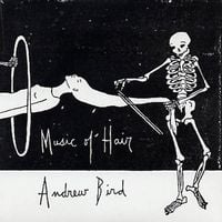 Andrew Bird - Music of Hair