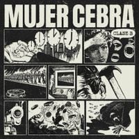 Mujer Cebra - CLASE B