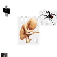 SPIDER GANG - FETUS DELETUS