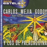 Carlos Mej&iacute;a Godoy Y Los De Palacag&uuml;ina - El son nuestro de cada d&iacute;a