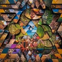 Miguel Atwood-Ferguson - Les Jardins Mystiques Vol. 1