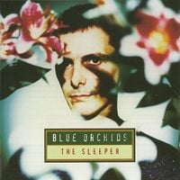 Blue Orchids - The Sleeper