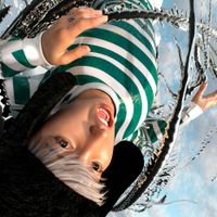 absent - CHROME CLOUDS