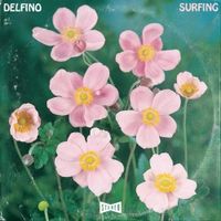 Surfing - Delfino