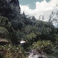 Celer - Alcoves