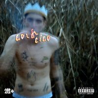 Nik Tendo - GoldCigo
