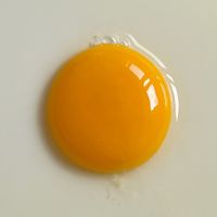TUM - GEMA