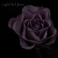Crippled Black Phoenix - Painful Reminder / Dead is Dead