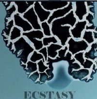 Destroy Lonely - ECSTASY