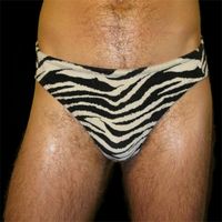 Hunx and His Punx - Gay Singles