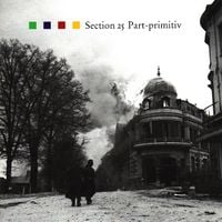 Section 25 - Part-Primitiv