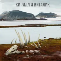 Кирилл и Виталик - Воздействие
