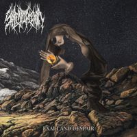 Selenoplexia - Exalt and Despair