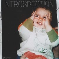 Dumont - Introspection