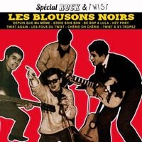 Les Blousons Noirs - Sp&eacute;cial Rock & Twist