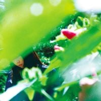 Minuano - ある春の恋人 [Spring Lovers]