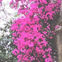 Sadness - compilation four