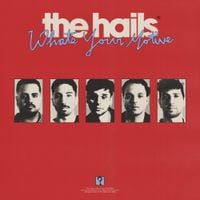 The Hails - What's Your Motive