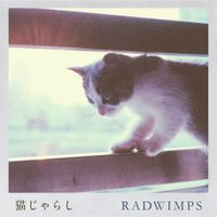 RADWIMPS - Nekojarashi