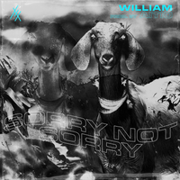 william - sorrynotsorry