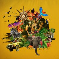 Costi - SAFARI
