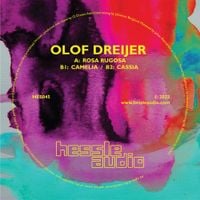 Olof Dreijer - Rosa Rugosa