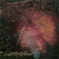 Pustulated - Inherited Cryptorchidism