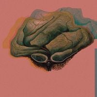 plantoid - Pressure