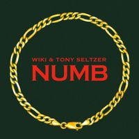 Wiki - Numb