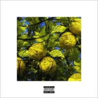 Quadeca - Lemon Tree