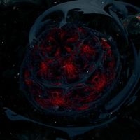 Herbalistek - Chromora / Cubewanos