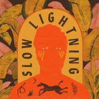 The Bones of J.R. Jones - Slow Lightning