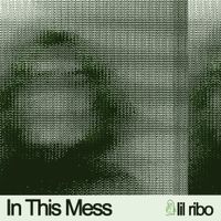 ribo - In This Mess