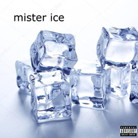 Mr Ice - Mister Ice