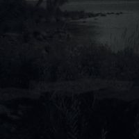 Hannah Wyatt - hummingbird