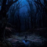 Woods of Desolation - Torn Beyond Reason (2022 Remastered)