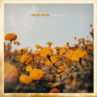 Cherie Amour - Some Songs