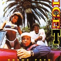 Ice-T - Rhyme Pays