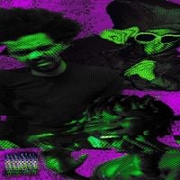 Ameer Vann - SLIME IN THE ICE MACHINE