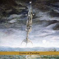 Erik Friedlander - Grains of Paradise