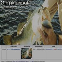 Copyright's Worst Nightmare - Garglechunk: A Tribute To Weezerpedia