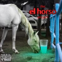 The Council of Horso - The El Horso Project