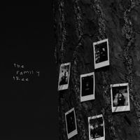 AntoneNow - THE FAMILY TREE
