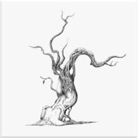 Beautiful Death - Beloved