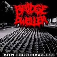 Bridge Dweller - Arm the Houseless