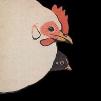 Akita / Gustafsson / O'Rourke - One Bird Two Bird
